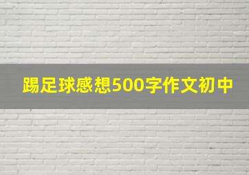 踢足球感想500字作文初中