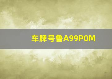 车牌号鲁A99P0M