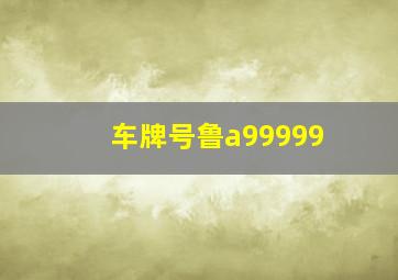 车牌号鲁a99999