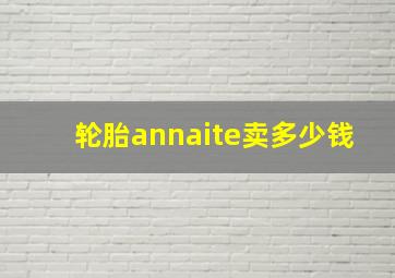 轮胎annaite卖多少钱