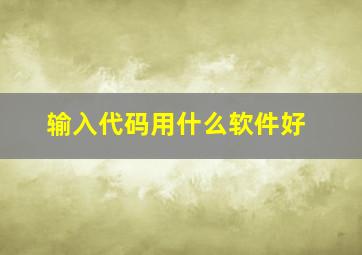 输入代码用什么软件好