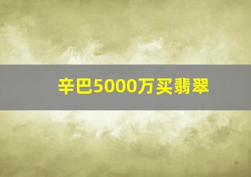 辛巴5000万买翡翠