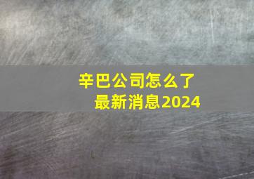 辛巴公司怎么了最新消息2024