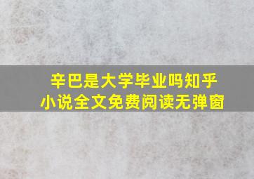 辛巴是大学毕业吗知乎小说全文免费阅读无弹窗