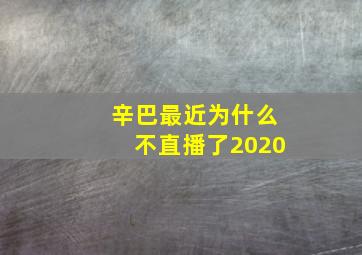 辛巴最近为什么不直播了2020