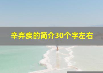 辛弃疾的简介30个字左右