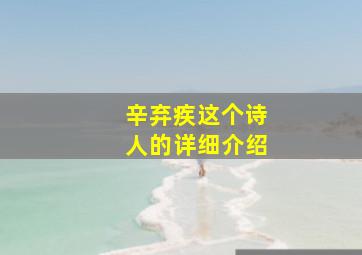 辛弃疾这个诗人的详细介绍