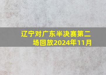 辽宁对广东半决赛第二场回放2024年11月