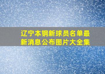 辽宁本钢新球员名单最新消息公布图片大全集