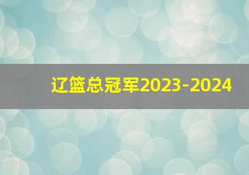 辽篮总冠军2023-2024