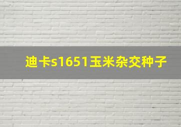 迪卡s1651玉米杂交种子