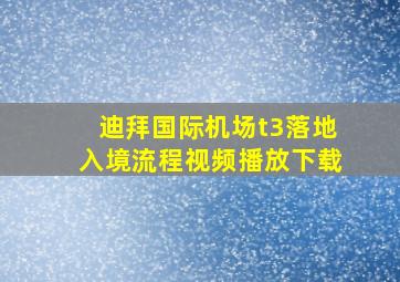 迪拜国际机场t3落地入境流程视频播放下载