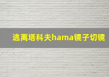 逃离塔科夫hama镜子切镜