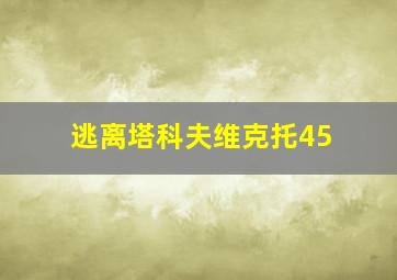 逃离塔科夫维克托45