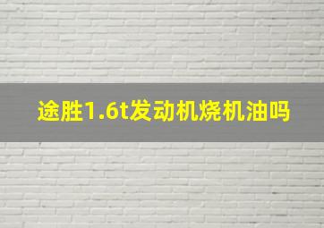 途胜1.6t发动机烧机油吗