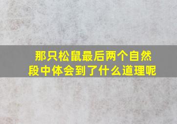 那只松鼠最后两个自然段中体会到了什么道理呢