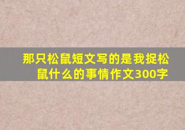 那只松鼠短文写的是我捉松鼠什么的事情作文300字