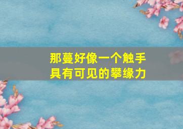 那蔓好像一个触手具有可见的攀缘力