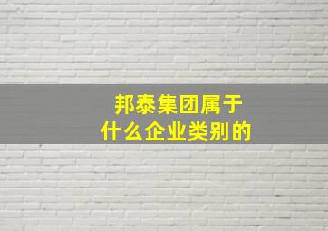 邦泰集团属于什么企业类别的