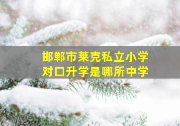 邯郸市莱克私立小学对口升学是哪所中学