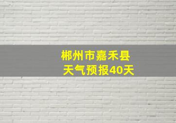 郴州市嘉禾县天气预报40天