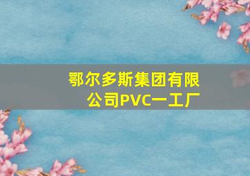 鄂尔多斯集团有限公司PVC一工厂