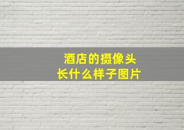 酒店的摄像头长什么样子图片