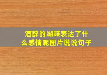 酒醉的蝴蝶表达了什么感情呢图片说说句子