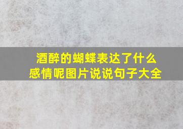 酒醉的蝴蝶表达了什么感情呢图片说说句子大全