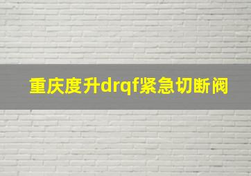 重庆度升drqf紧急切断阀