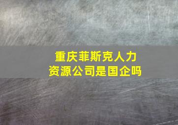 重庆菲斯克人力资源公司是国企吗