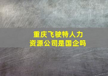 重庆飞驶特人力资源公司是国企吗