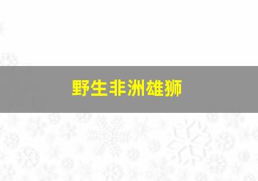 野生非洲雄狮