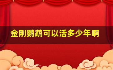 金刚鹦鹉可以活多少年啊