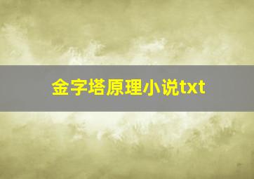 金字塔原理小说txt