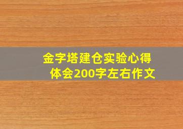 金字塔建仓实验心得体会200字左右作文