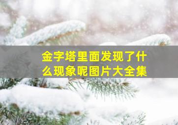 金字塔里面发现了什么现象呢图片大全集