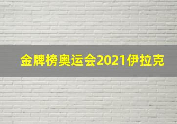 金牌榜奥运会2021伊拉克