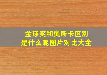 金球奖和奥斯卡区别是什么呢图片对比大全