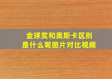 金球奖和奥斯卡区别是什么呢图片对比视频