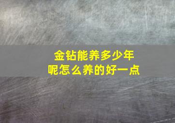 金钻能养多少年呢怎么养的好一点