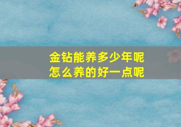 金钻能养多少年呢怎么养的好一点呢