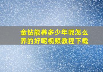 金钻能养多少年呢怎么养的好呢视频教程下载