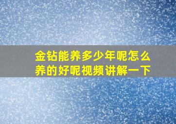 金钻能养多少年呢怎么养的好呢视频讲解一下