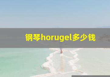 钢琴horugel多少钱