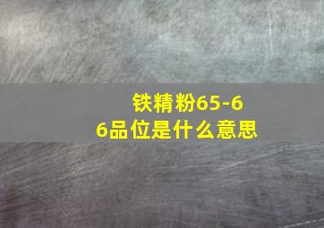 铁精粉65-66品位是什么意思