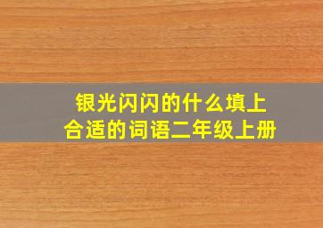 银光闪闪的什么填上合适的词语二年级上册