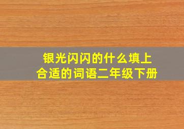 银光闪闪的什么填上合适的词语二年级下册