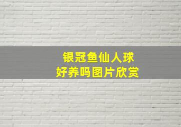 银冠鱼仙人球好养吗图片欣赏