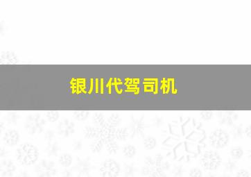 银川代驾司机